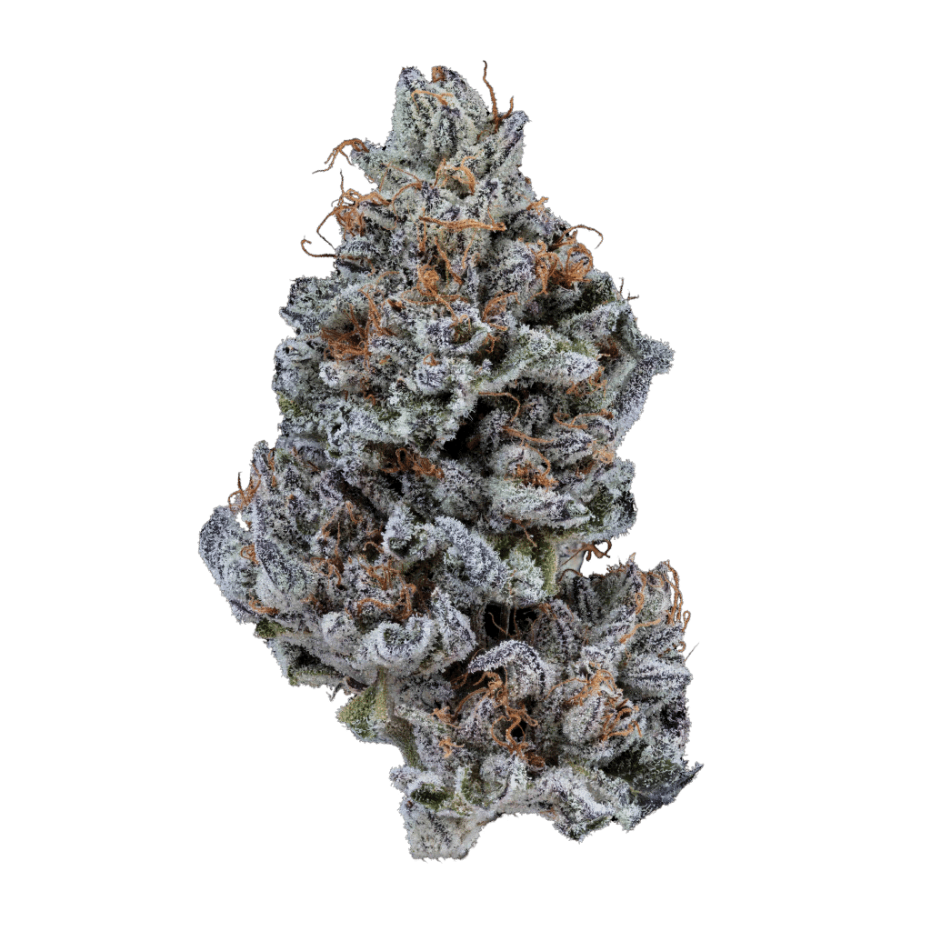 CANNABIS×Barbudos×yasuhide ono3点セット Deviled-Oreoz-1024x1024.png