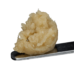 Black P Live Hash Rosin de Polar
