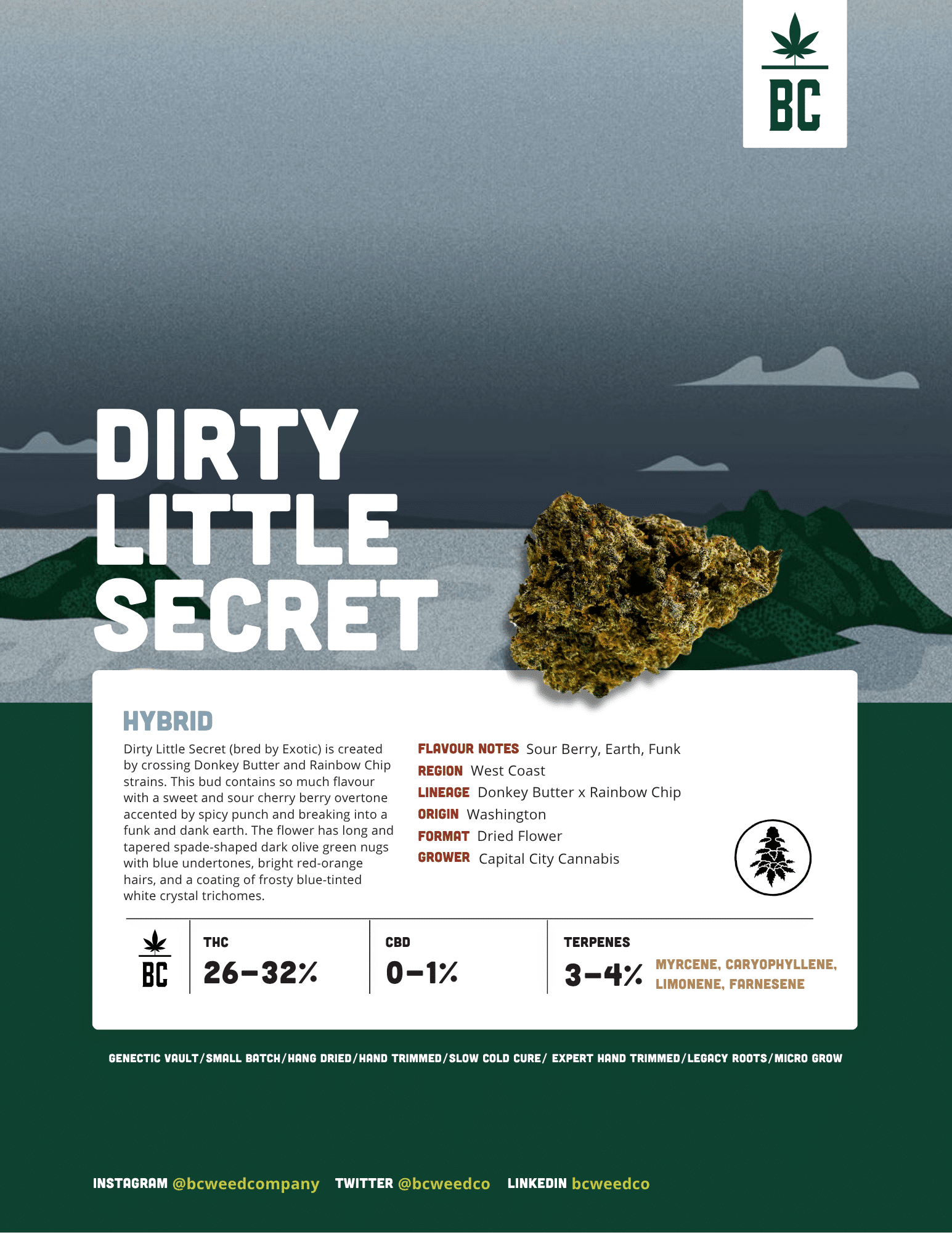 Dirty Little Secret 2 Dirty Little Secret - Image 2