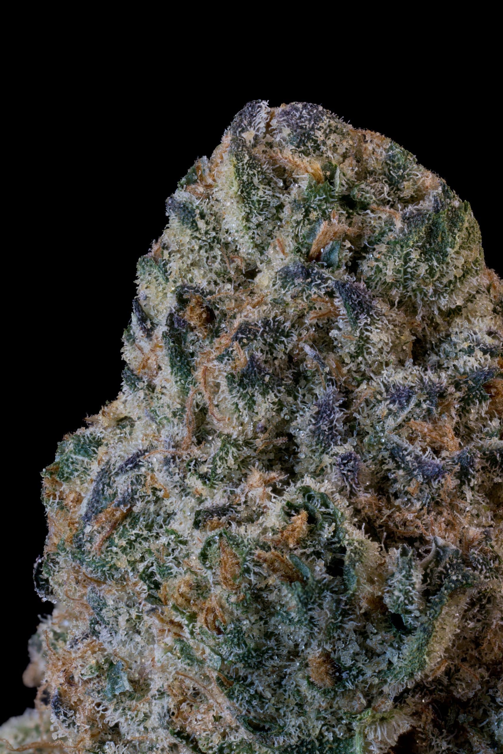 Hi-C 2 Hi-C - Image 2