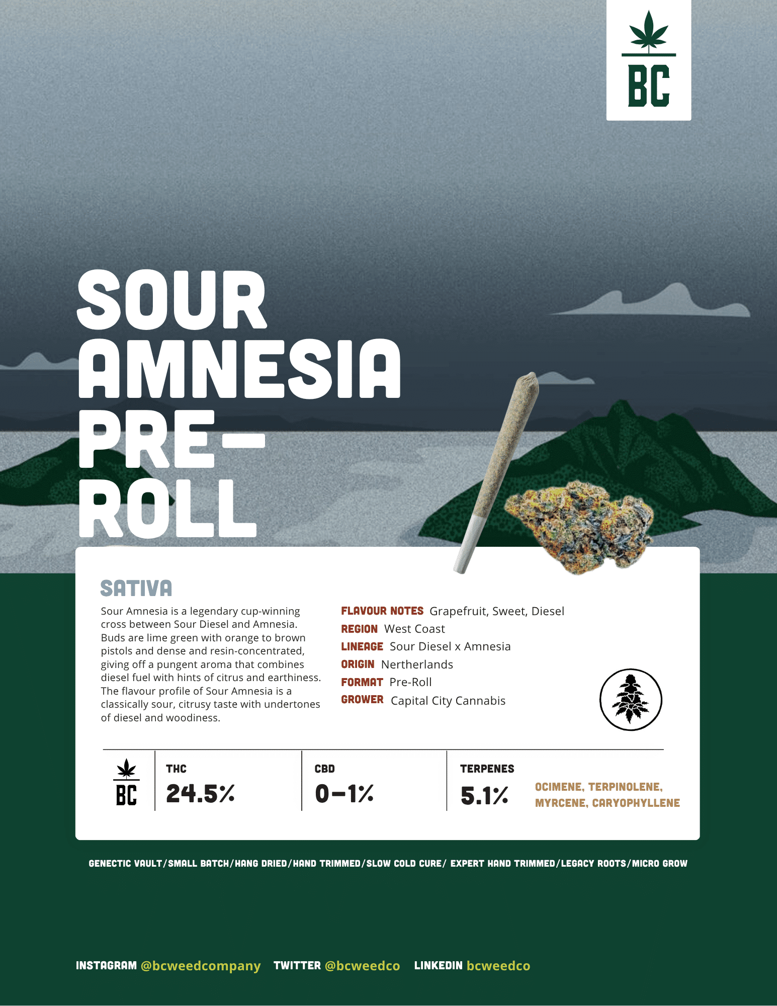 Sour Amnesia Pre-Rolls 2 Sour Amnesia Pre-Rolls - Image 2