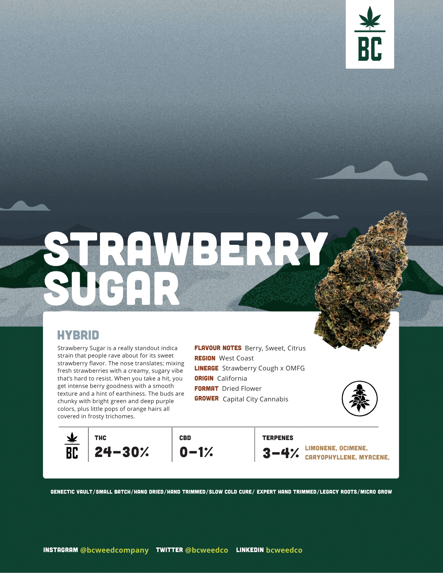 Strawberry Sugar 2 Strawberry Sugar - Image 2