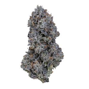 Tropical gream 7g cannabis flower by six one charlie