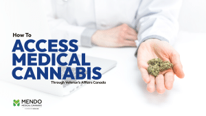 Mendo Medical Blog 7 Access Medical Cannabis Through Veteran's Affairs Canada with Mendo Medical