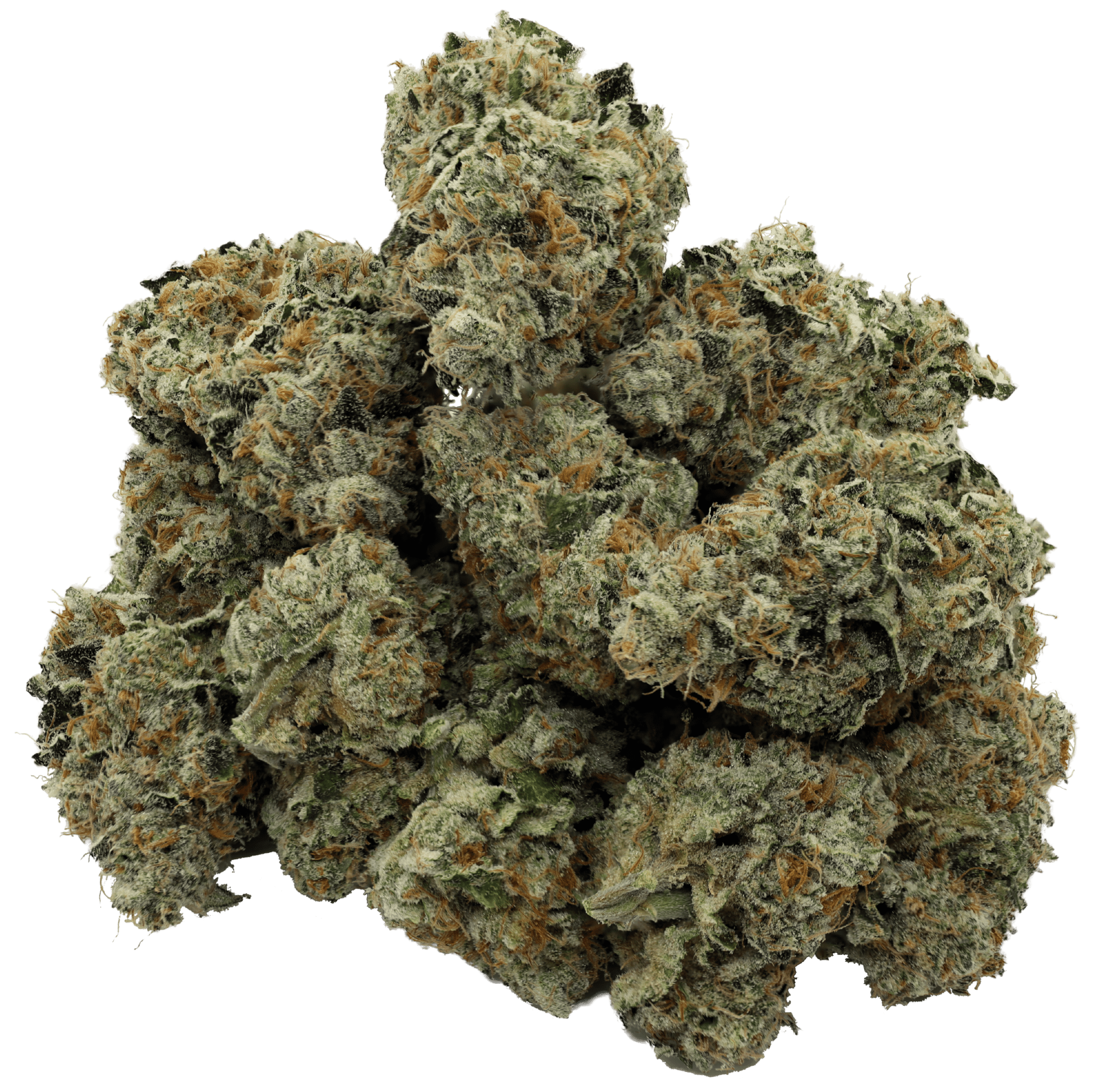 Charged Indica - Meringue 3 Charged Indica - Meringue - Image 3