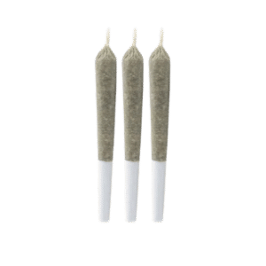 Sherb-O x Animal tyle Infused preroll 3x0.7g by Brindle