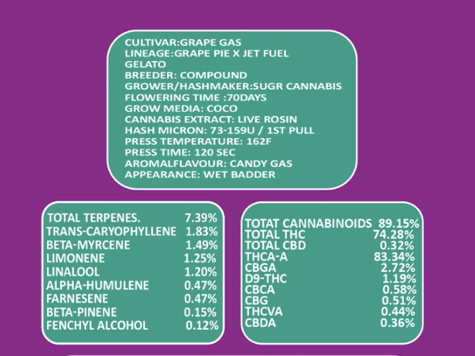 Hash Rosin Maple Salted Caramel 3 Hash Rosin Maple Salted Caramel - Image 3