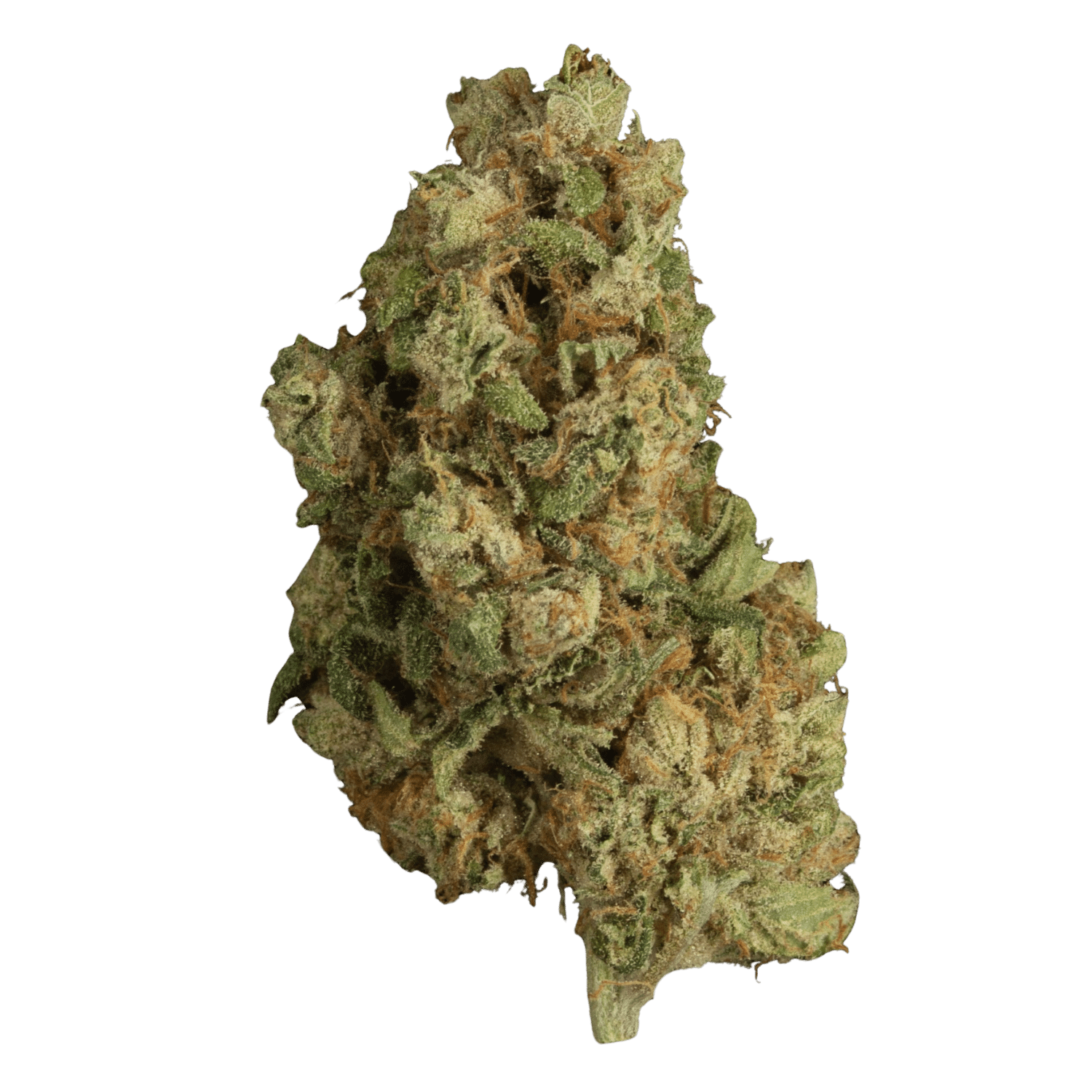 OZ KUsh 7g by Ritual GReen