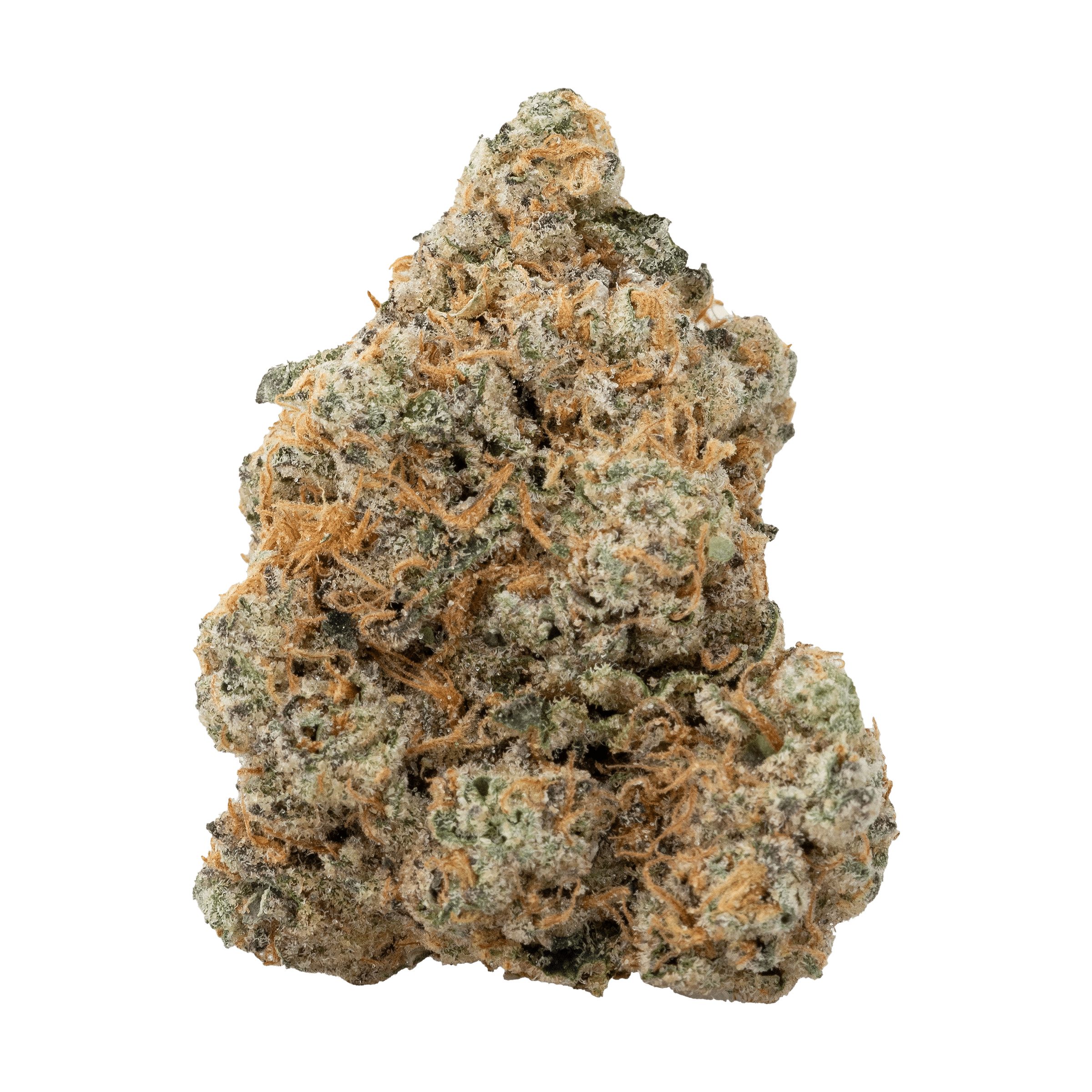 New Medical Cannabis Products at Mendo: March 11th 2026 13 Exotic Gas flower 7g The Loud Plug