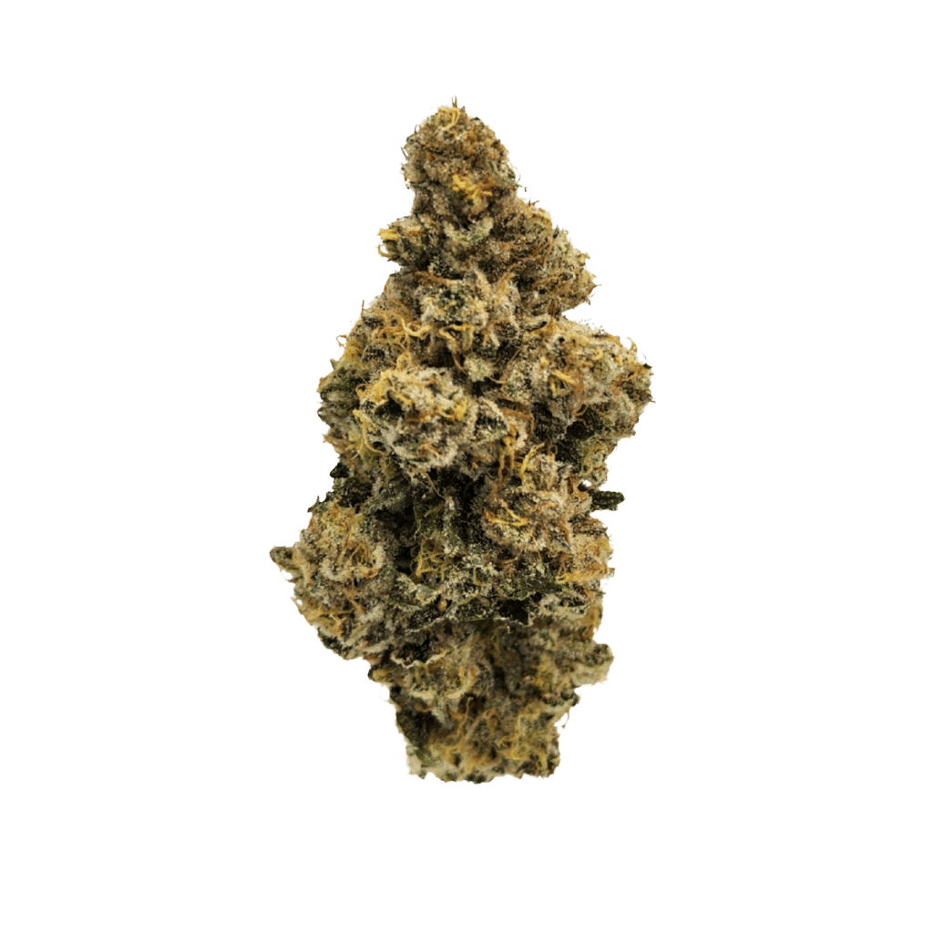 New Medical Cannabis Products at Mendo: March 25th 2026 14 French Cookies 3.5g by Ritual Green