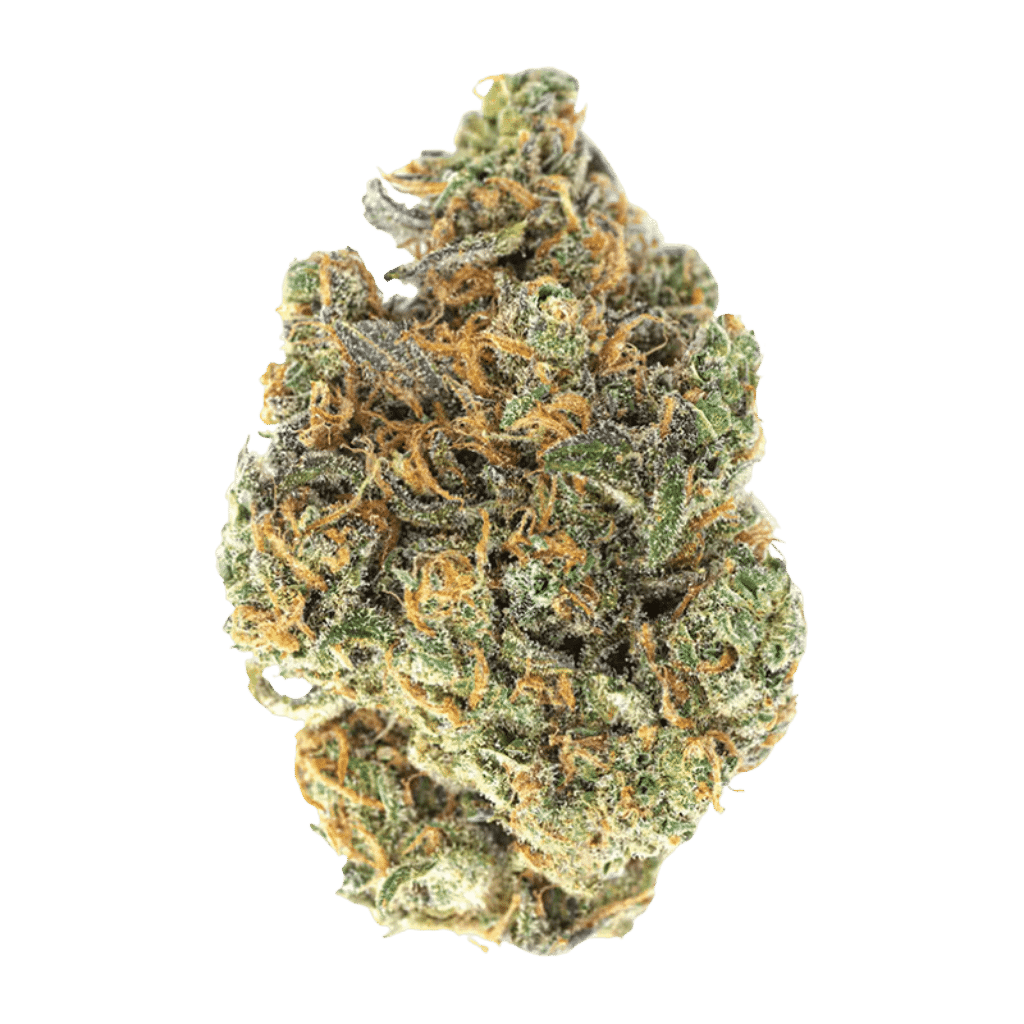 Midnight Kruntz 1 Fleur Midnight Kruntz 28 g de November Rain