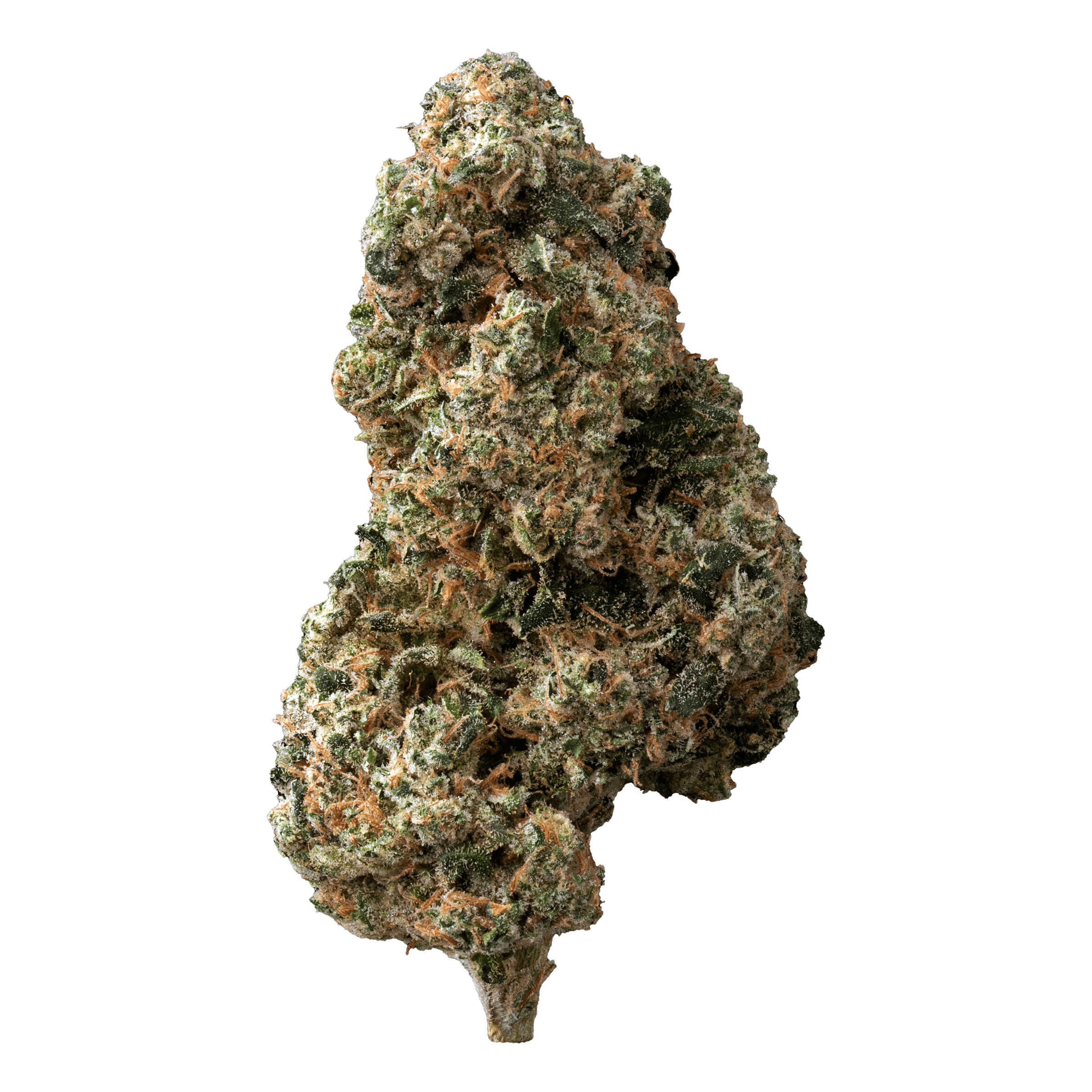 New Medical Cannabis Products at Mendo: March 11th 2026 17 Sticky Bunz Flower 7g The Loud Plug