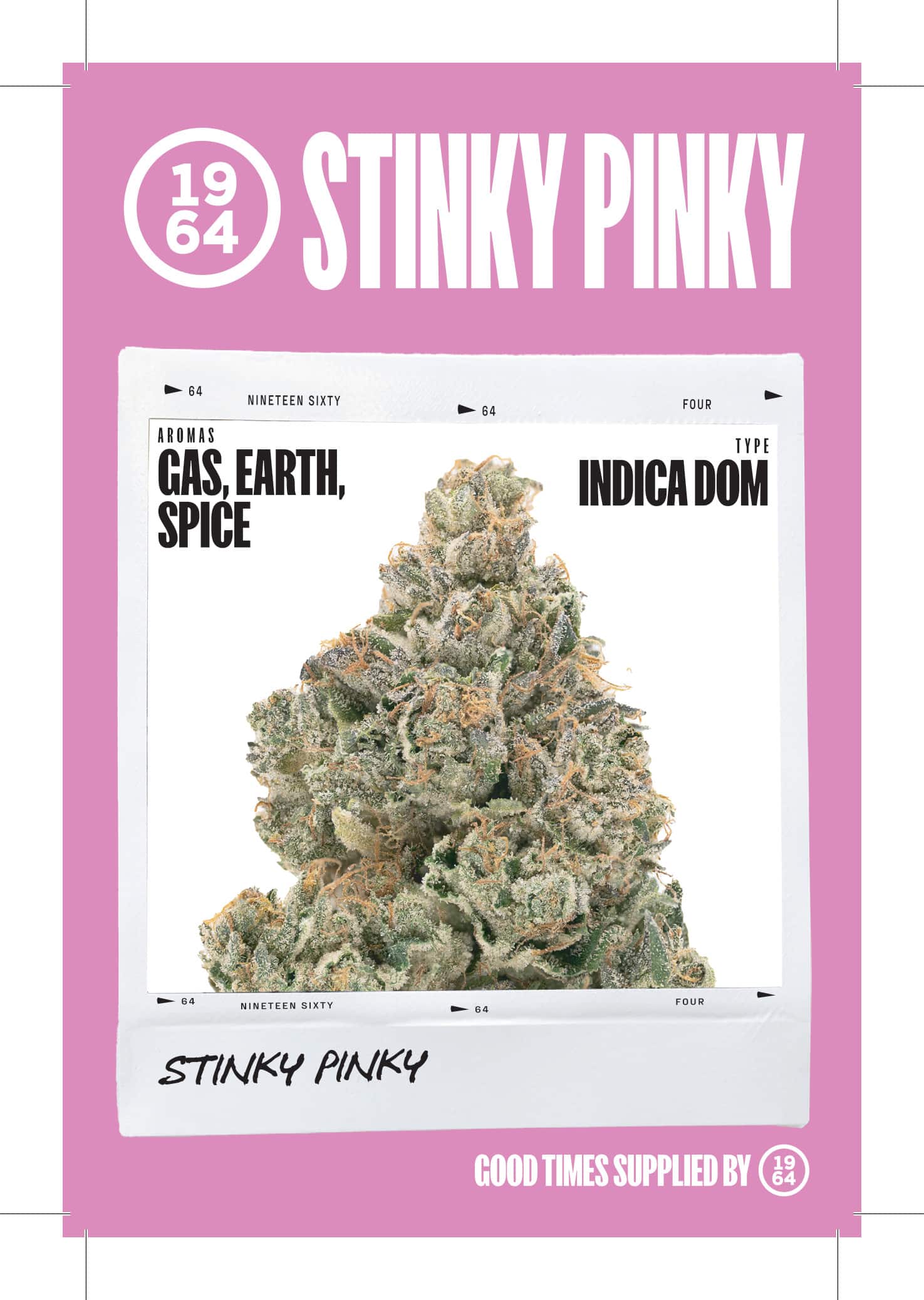 Stinky Pinky 3 Stinky Pinky - Image 3