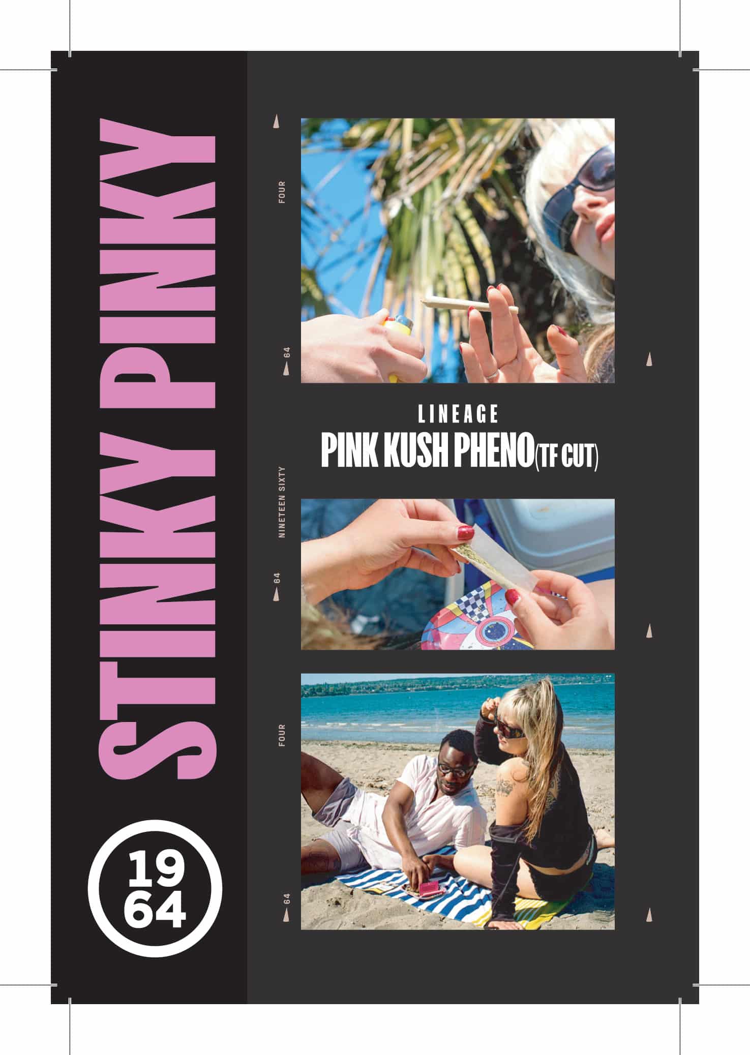Stinky Pinky 4 Stinky Pinky - Image 4