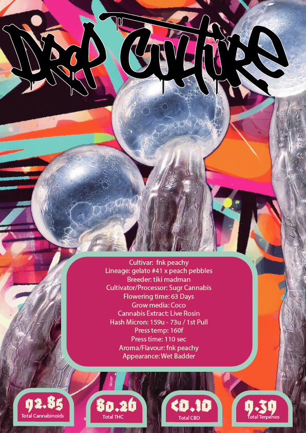 Drop Culture - Fnk Peachy Live Rosin 2 Drop Culture Fkg peach Live Rosin 1g by Sugr