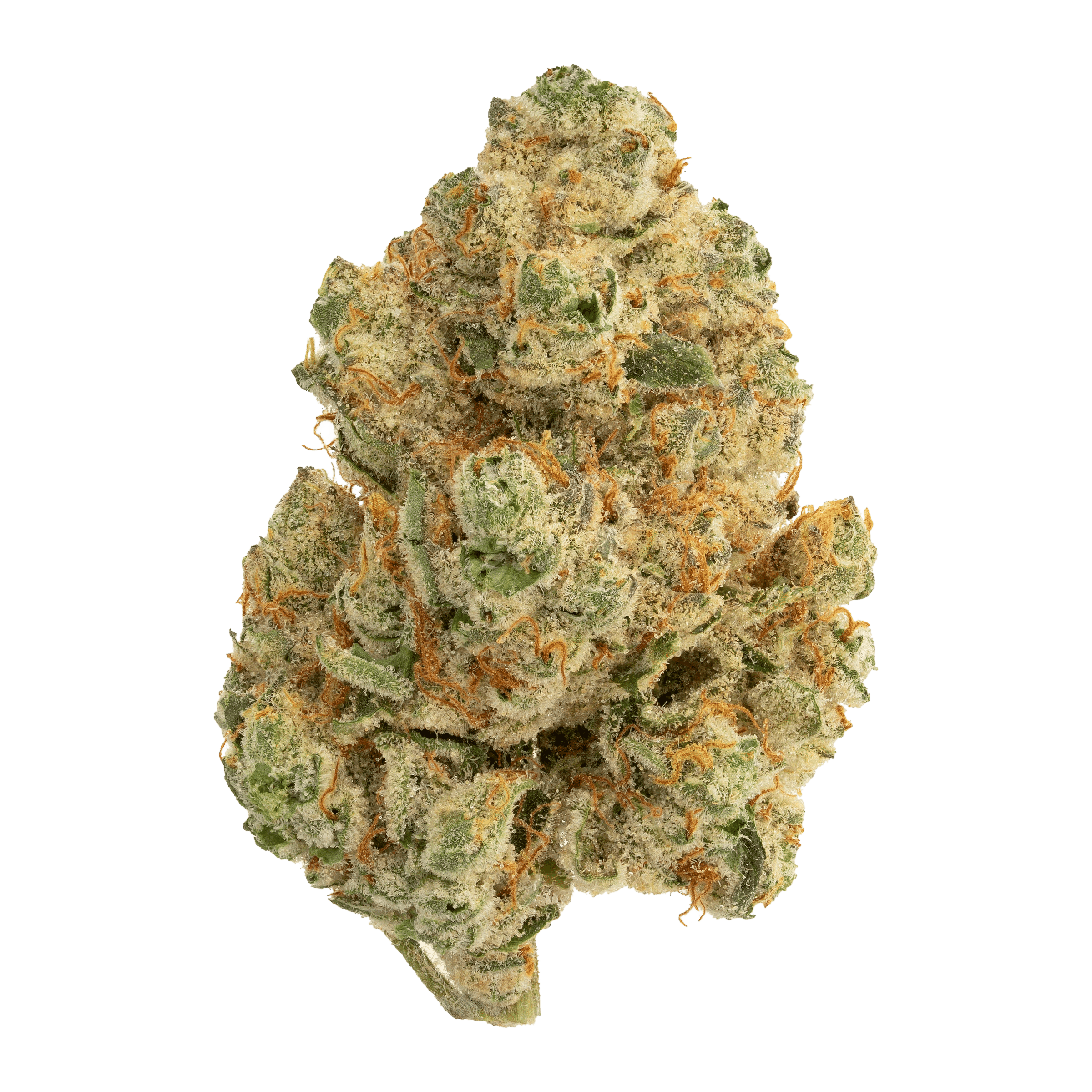 Venom OG 1 Venom OG flower The Loud Plug