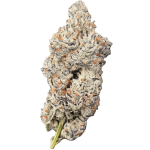 Blue Pave 14g Flower by Mendo Select