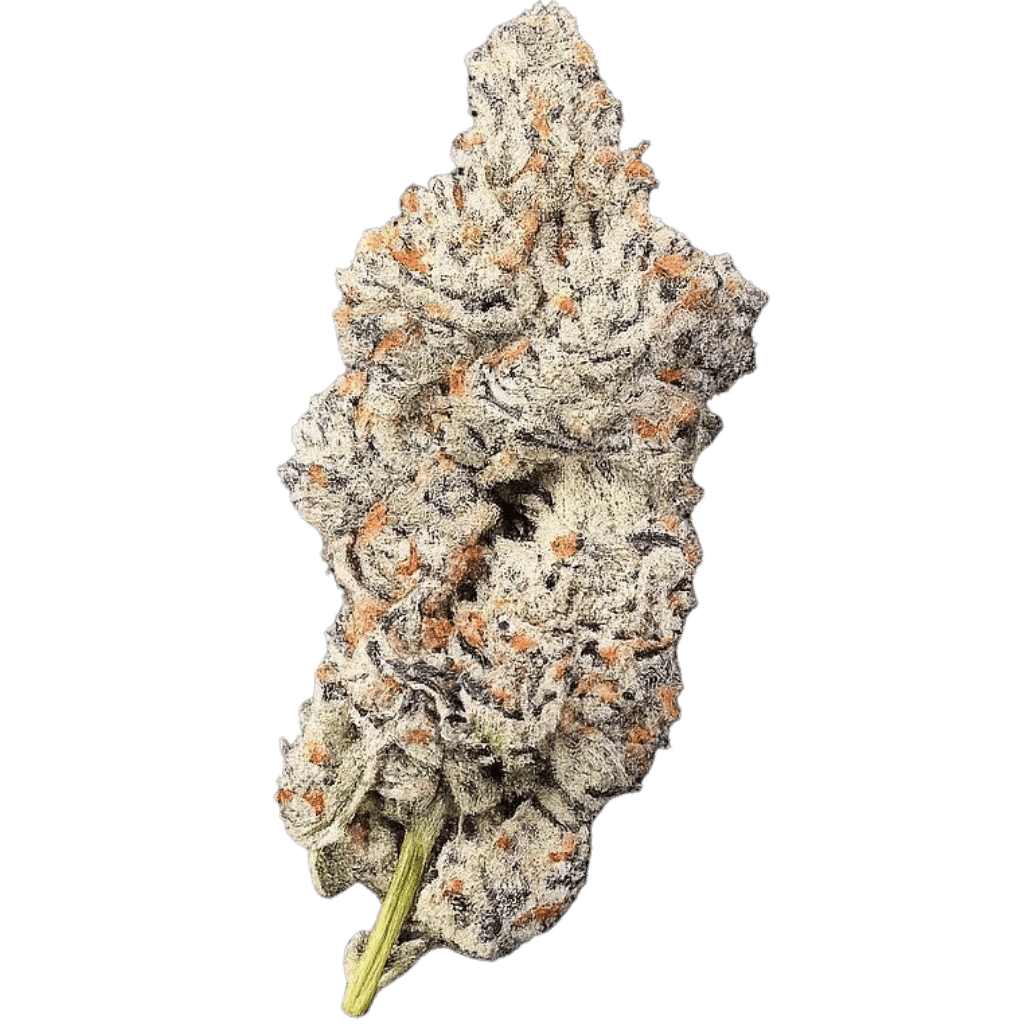 Blue Pave 14g Flower by Mendo Select