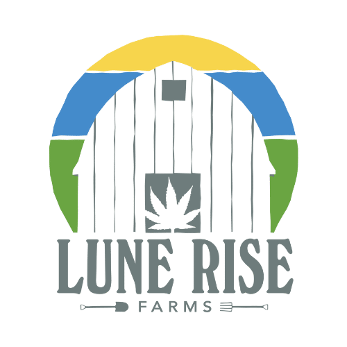 New Medical Cannabis Products at Mendo: October 22nd 2025 4 Lune Rise Farms Cannabis brand