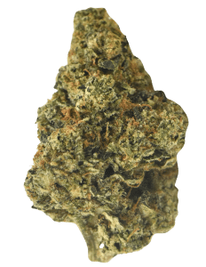 Power Petrol Flower by Ritual Green
