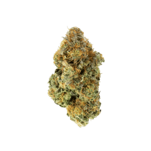 Black Mamba Flower by Ritual Green