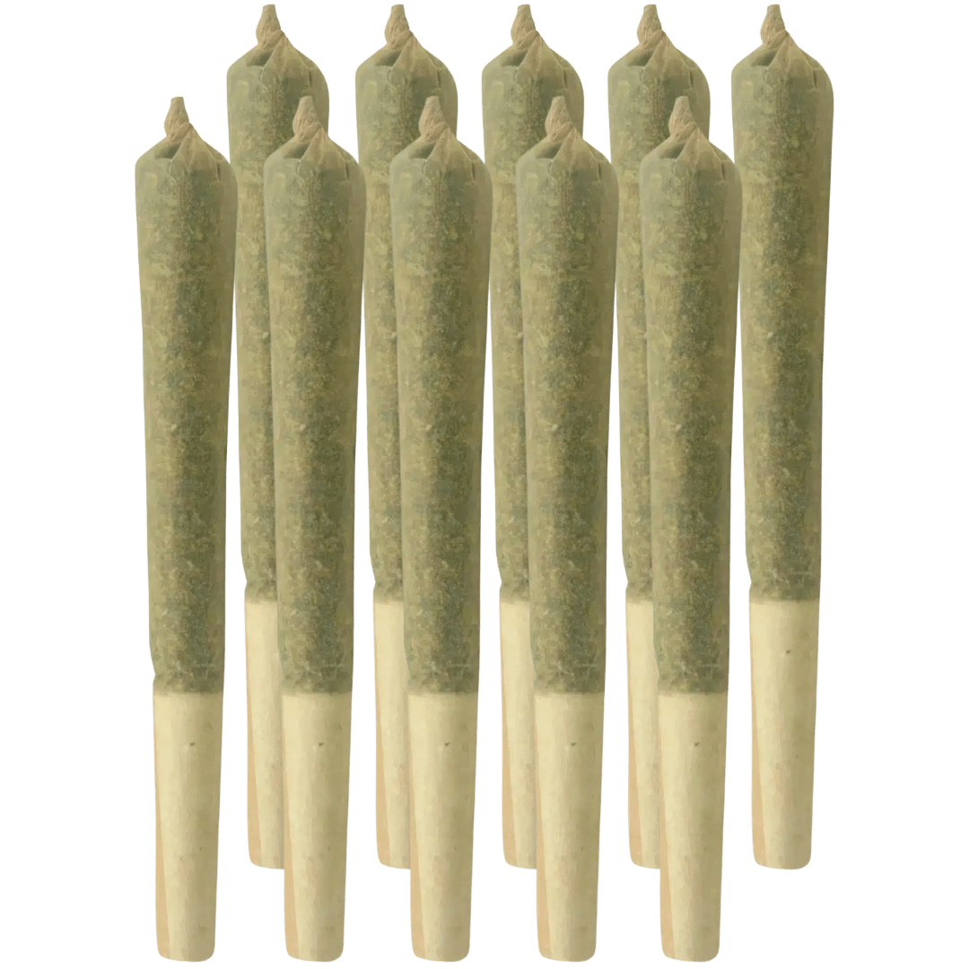 Préroulés Sudz (10x0,5g) 1 Sudz Pre-rolls 10x0.5g by Rocky Mountain Cannabis