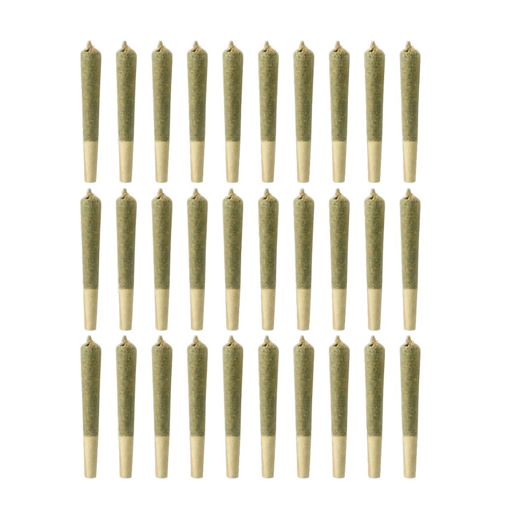 Préroulés Sudz (30x0,5g) 1 Sudz Pre-rolls (30x0.5g) by Rocky Mountain Cannabis