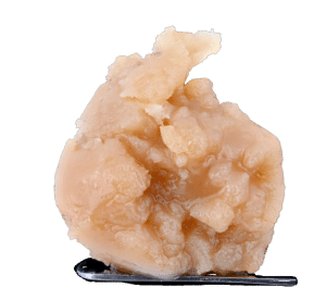 Champaya Live Rosin by Unlicensed Producers