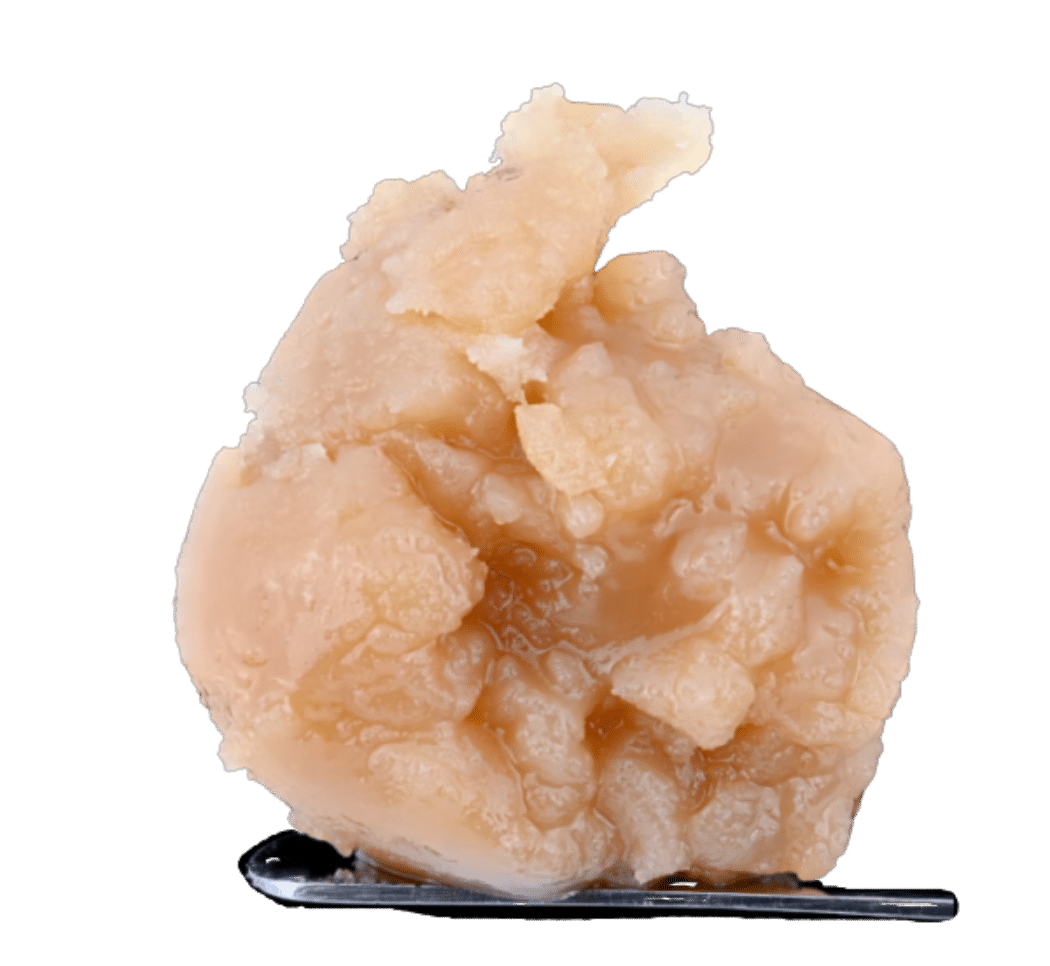 Champaya Live Rosin 1 Champaya Live Rosin by Unlicensed Producers