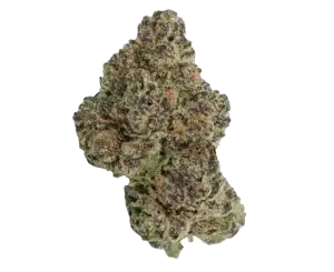 Hawaiian Marker Flower 28G by Tuck Shop