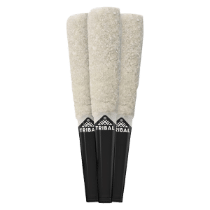 Gelato Mint Tribal-Trifecta-main-image