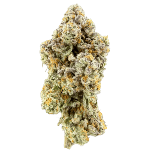 Fleur Alien 51, photo de Charlie's Co