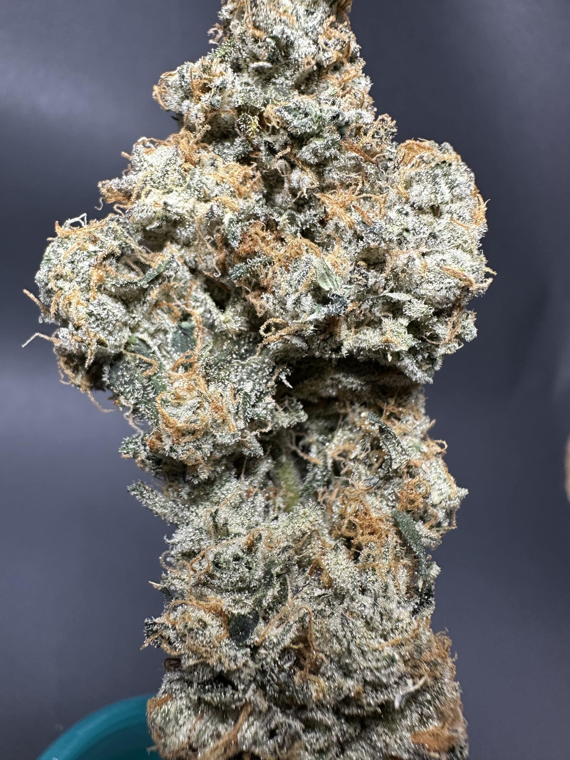 Peanut Butter Breath 2 Peanut Butter Breath – Image 2