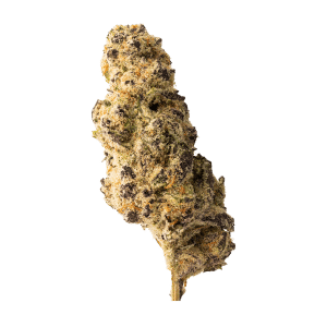 BIG-Craft Flower-Rotation