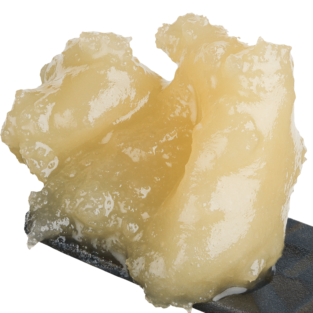 Papaya Live Rosin 1g by Sauce Rosin Labs