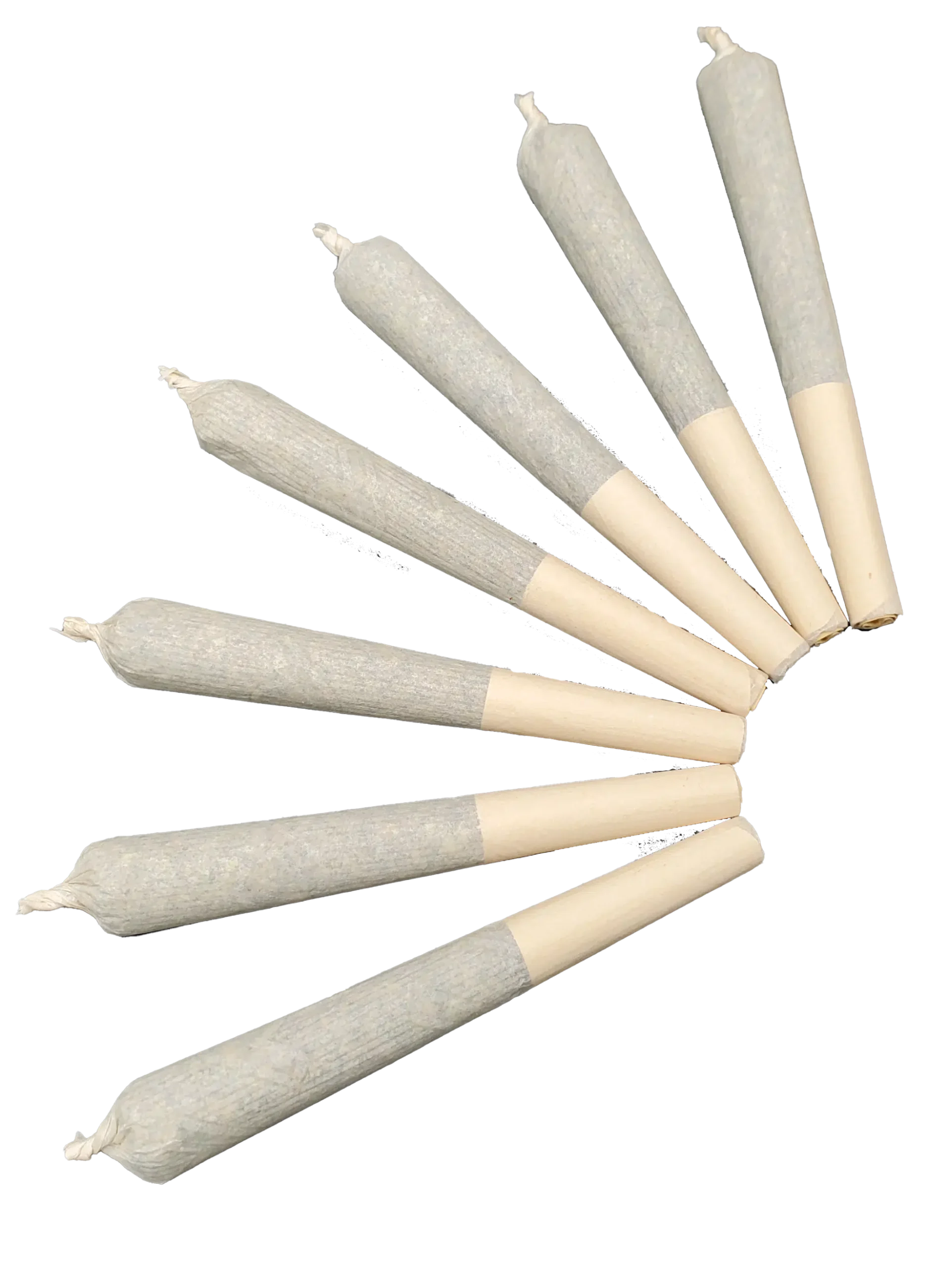 Pré-rolls Rainbow Warrior 1 Pré-rolls Rainbow Warrior