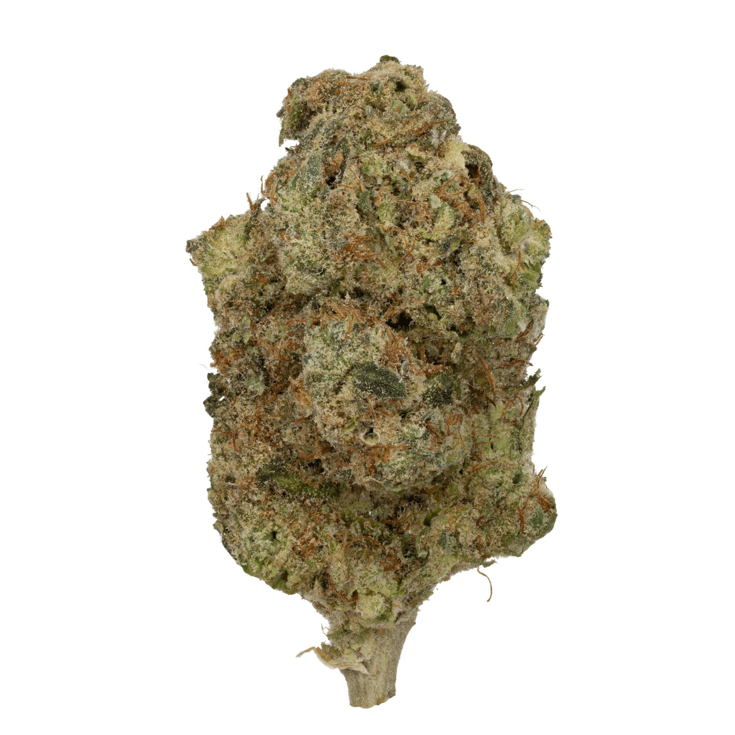 New Medical Cannabis Products at Mendo: March 25th 2026 10 papaya bomb 7g by smoke ops