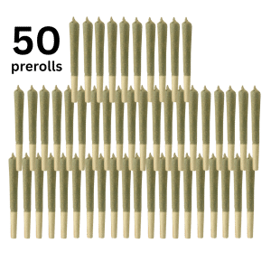 Bazookas (50×0.6g) Pre-Rolls by Ostara Médical