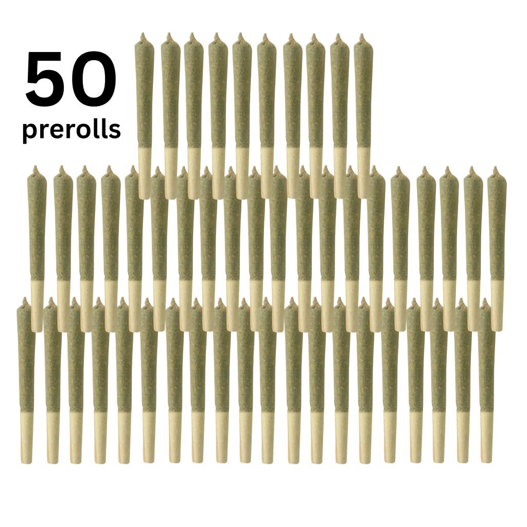 Bazookas (50×0.6g) Pre-Rolls 1 Bazookas (50×0.6g) Pre-Rolls by Ostara Médical