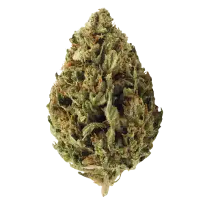 Certified Organic CBD Flower 30g - Umpqua Strain by Grown Here Farms (Product)