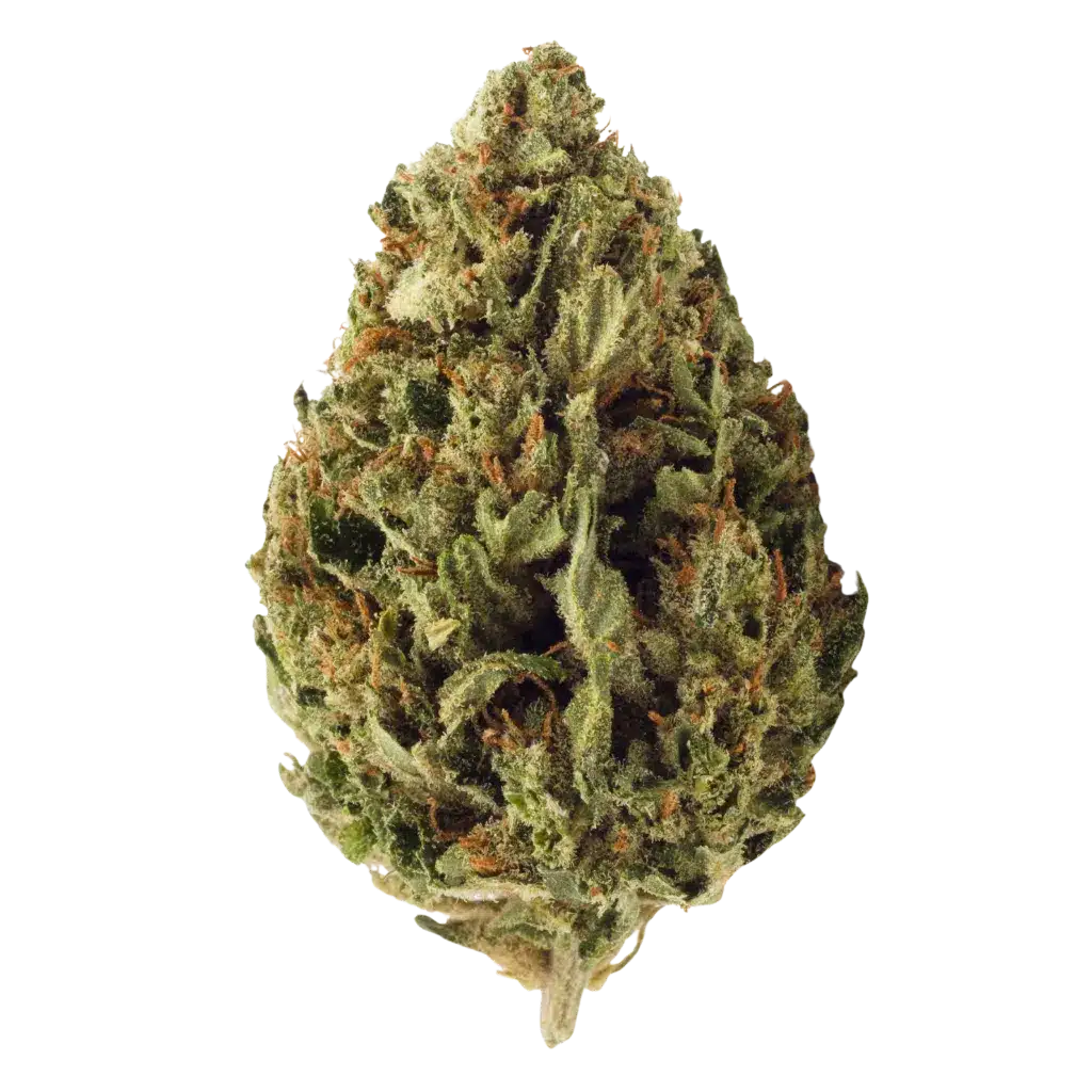 New Medical Cannabis Products at Mendo: May 20th 2026 10 Certified Organic CBD Flower 30g - Umpqua Strain by Grown Here Farms (Product)