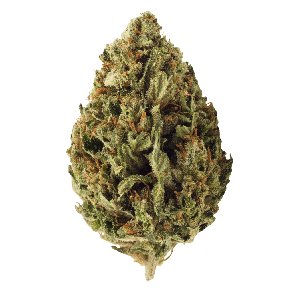 Certified Organic CBD Flower 1 Certified Organic CBD Flower 7g - Umpqua Strain by Grown Here Farms (Product)