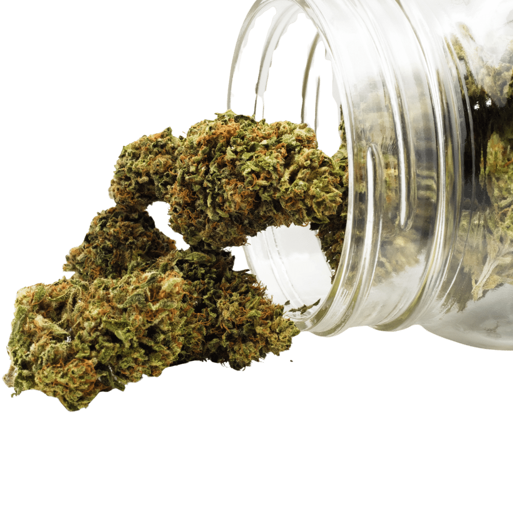 Certified Organic CBD Flower 3 Certified Organic CBD Flower 7g - Umpqua Strain by Grown Here Farms (Product+Jar)