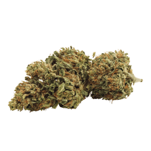 Day Dreamin' Infused CBD Flower by Grown Here Farms (Bud)
