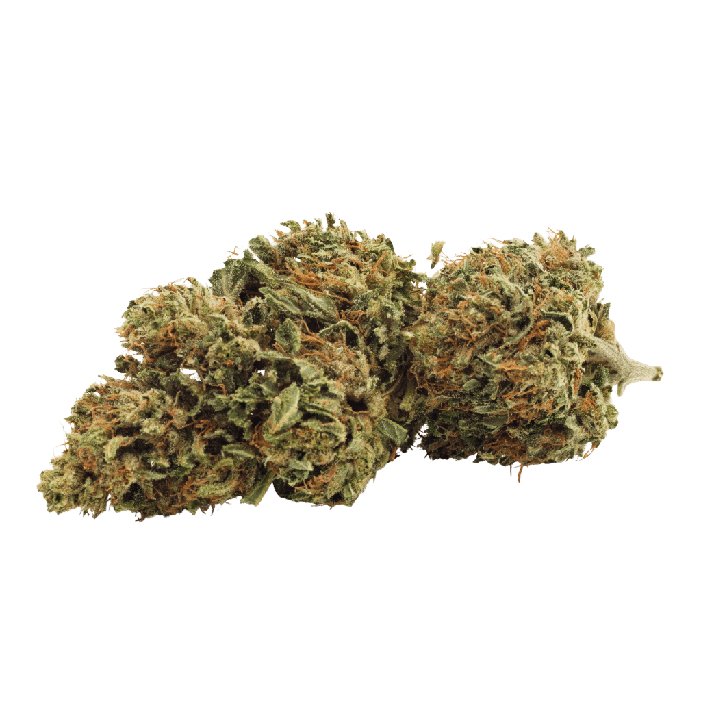 New Medical Cannabis Products at Mendo: May 20th 2026 11 Day Dreamin' Infused CBD Flower by Grown Here Farms (Bud)