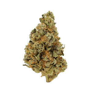Rogue Pop 7g Fleur de Six One Charlie