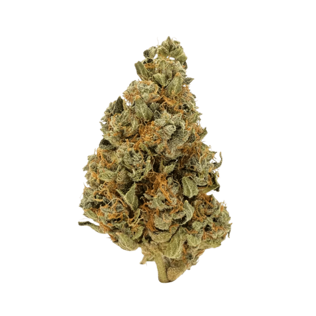 New Medical Cannabis Products at Mendo: May 20th 2026 9 Rogue Pop 7g Flower by Six One Charlie