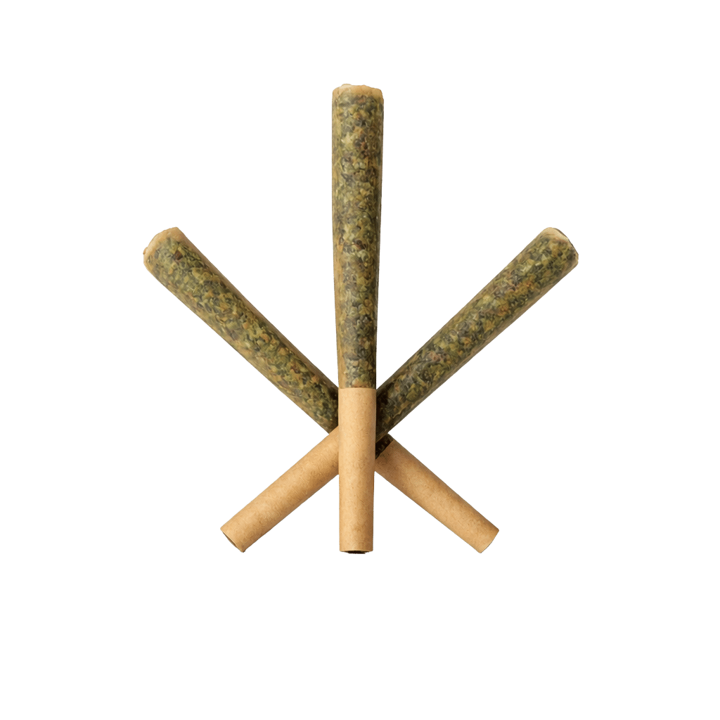 New Medical Cannabis Products at Mendo: May 13th 2026 16 Slim-Bitz Live Rosin Infused Pre-Roll 3x0,5g by Sauce Rosin Labs