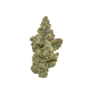 Black Mamba 14g Flower by Ritual Green