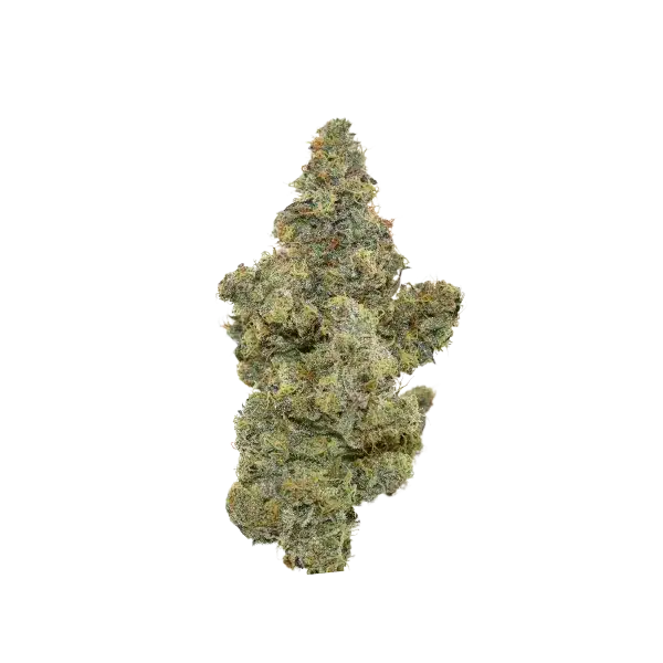 New Medical Cannabis Products at Mendo: September 30th 2026 17 Black Mamba 14g Flower by Ritual Green